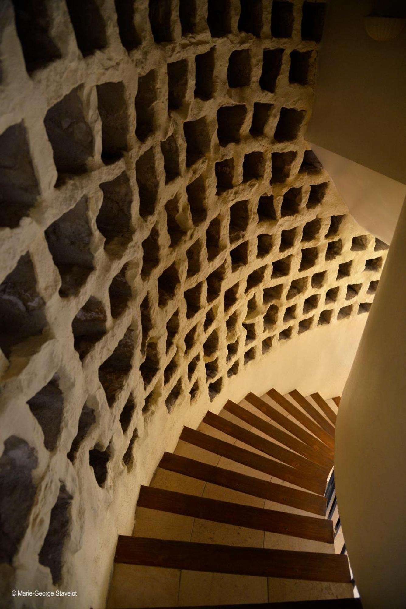 Domaine Borgnat Bed & Breakfast Escolives-Sainte-Camille Exterior foto