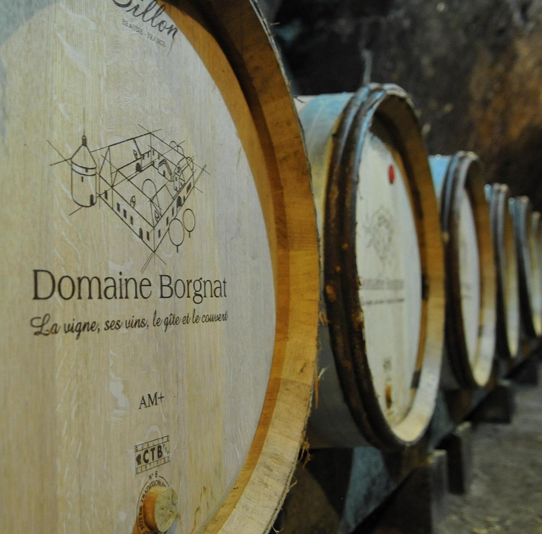 Domaine Borgnat Bed & Breakfast Escolives-Sainte-Camille Exterior foto